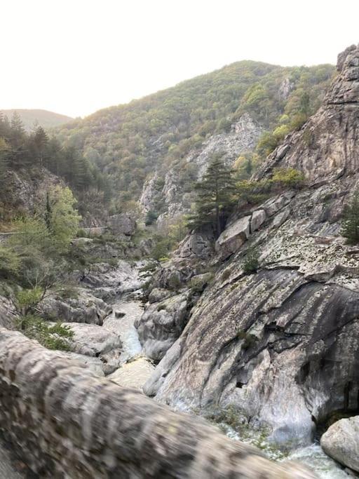 Villa L'Atelier De La Bergerie - L' Ardeche - Via Rhona Pont-Saint-Esprit Esterno foto