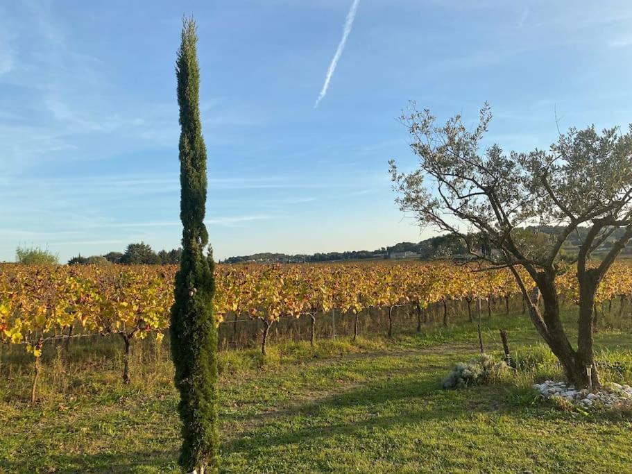 Villa L'Atelier De La Bergerie - L' Ardeche - Via Rhona Pont-Saint-Esprit Esterno foto