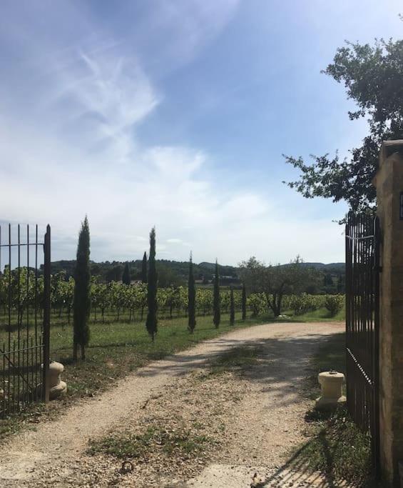 Villa L'Atelier De La Bergerie - L' Ardeche - Via Rhona Pont-Saint-Esprit Esterno foto